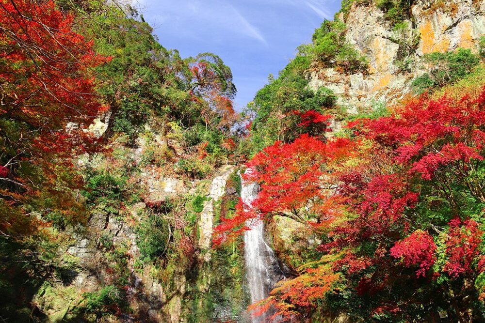 Minoh Waterfall surrounded by autumn foliage in Osaka