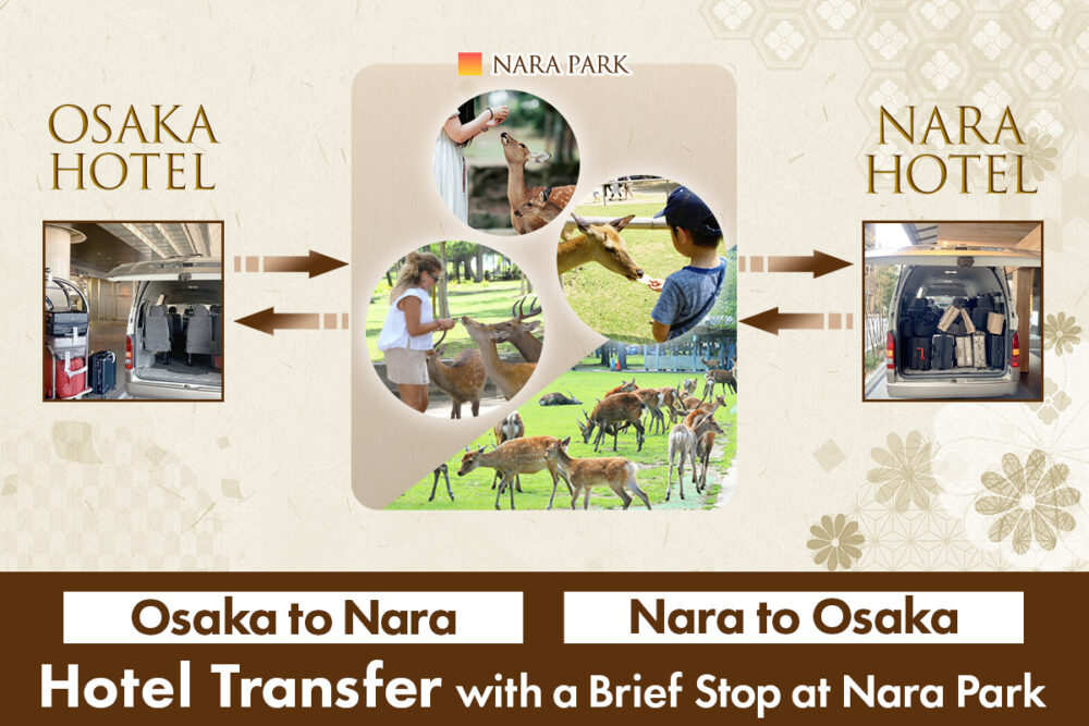Osaka to Nara (or Nara to Osaka) Transfer with a Short Stop at Nara Park