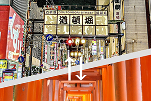 KANSAI Intercity Transfer